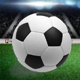 037060:COM-WWW:037060:COM